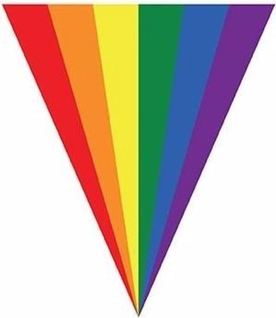2x Gay pride regenboog 5 - Vlaggenlijnen - LHBT thema | bol.com