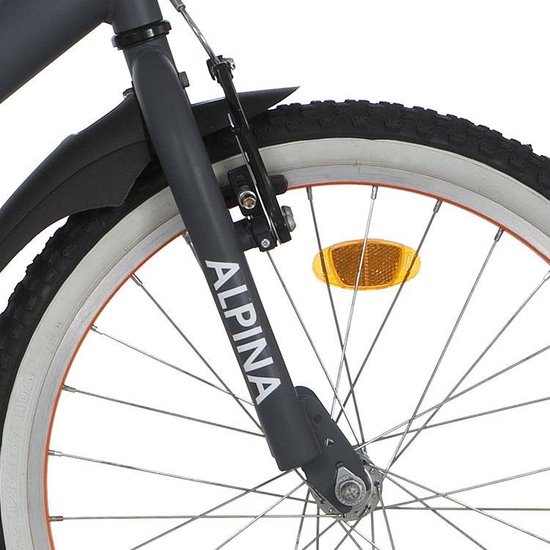 Alpina Alp v vork 20 Comet grey matt | bol.com