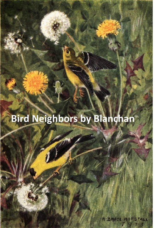 Bird Neighbors - cover