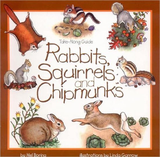Rabbits, Squirrels and Chipmunks, Mel Boring 9781559715799 Boeken