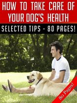 How To Take Care Of Your Dog’s Health