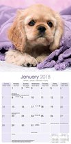 Cocker Spaniel Puppies Kalendar 2018