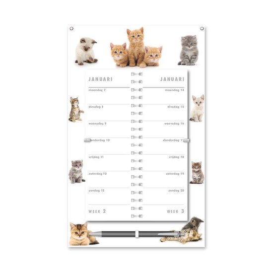Week (omslag) Kalender 2019 Katten | bol.com