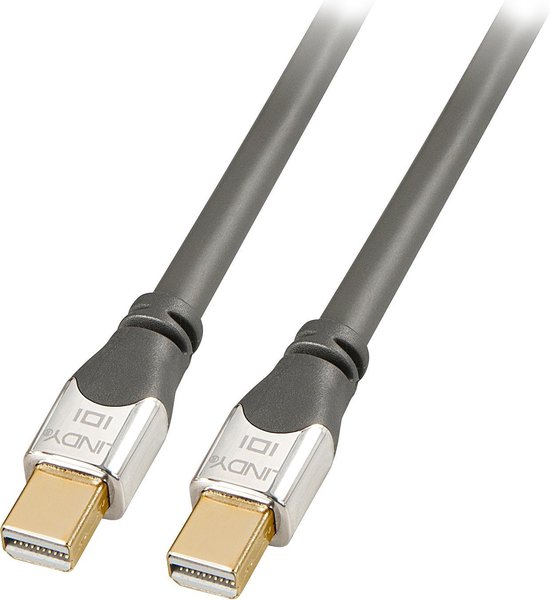 Mini DisplayPort to DisplayPort Adapter LINDY 36310 Grey 50 cm