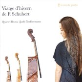 Viatge d'Hivern de F. Schubert