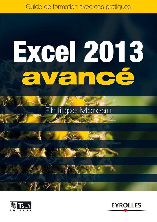 Les guides de formation Tsoft - Excel 2013 - Avancé - cover