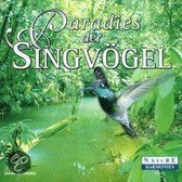 Paradies Der Singvoegel