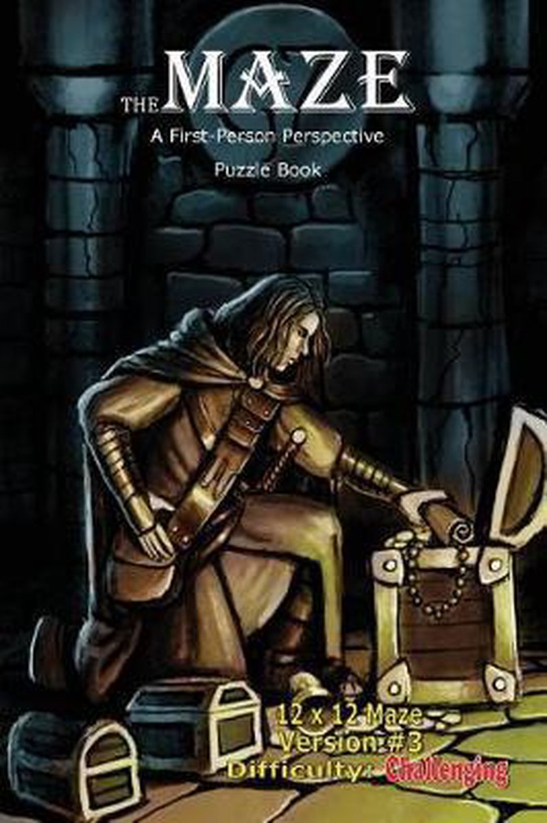 The Maze: A First-person Perspective Puzzle Book-the Maze van Brad Hough