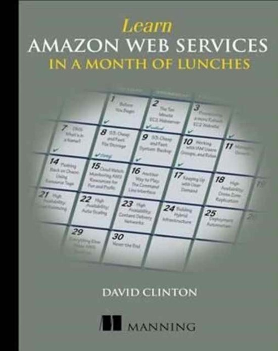 Learn Amazon  Services in a Month of Lunches 9781617294440 David