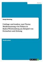 Umfrage und Analyse zum Thema Mediennutzung von Türken in Baden-Württemberg am Beispiel von Fernsehen und Zeitung