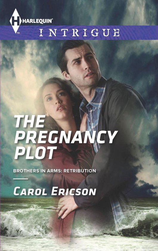 Brothers in Arms: Retribution 2 - The Pregnancy Plot - cover