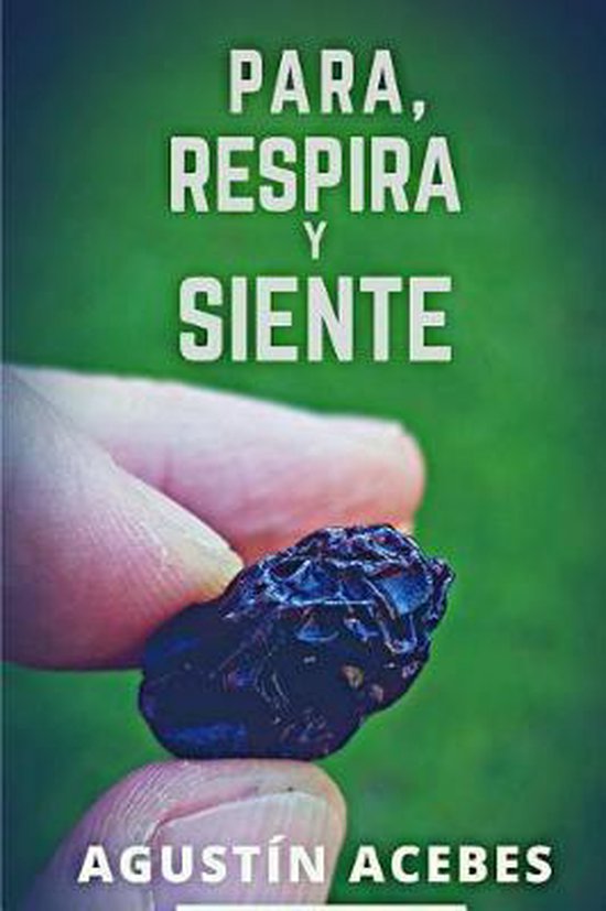 Para, respira y siente - cover