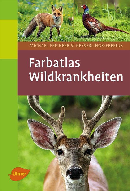 Wildkrankheiten - cover
