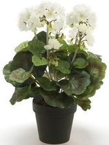 Kunstplant Geranium wit in pot 35 cm - Kamerplant witte Geranium