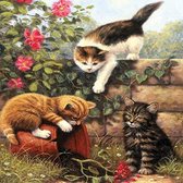 Diamond painting katten 40x50cm