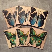 Onderzetters Vlinders groot. Set van 6. 10 x 10 cm.