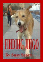 Finding Jingo
