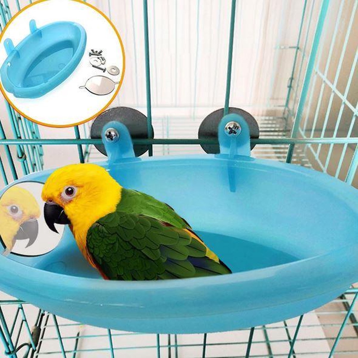 Vergelijking zo veel Zes Vogelbadje blauw - parkieten en kleine papegaaien | bol.com