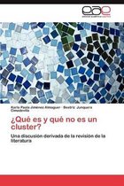 Que Es y Que No Es Un Cluster?