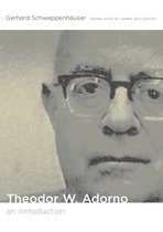 Post-Contemporary Interventions - Theodor W. Adorno