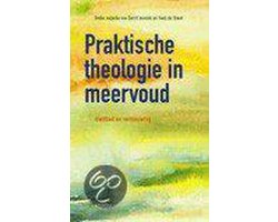 Praktische Theologie In Meervoud