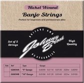 Set van 5 Nickel Wound Banjo Snaren