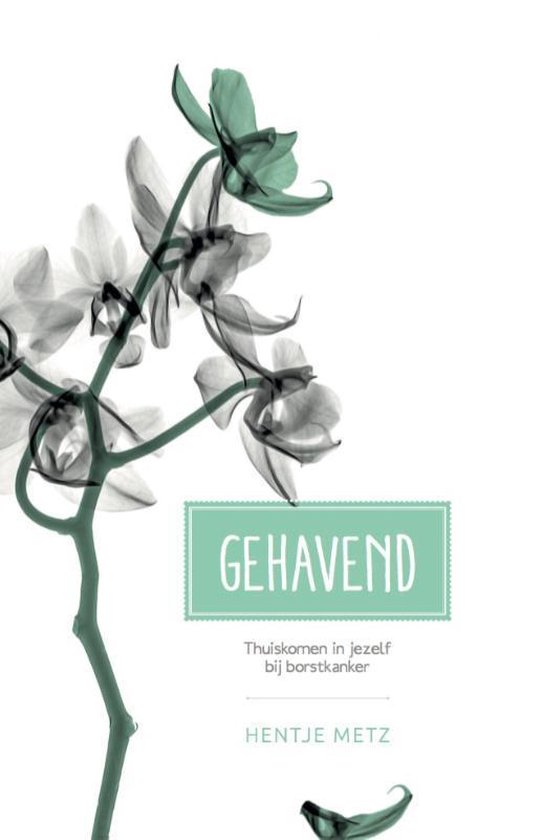 Gehavend - Hentje Metz | Tiliboo-afrobeat.com