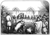 Procès contre les animaux - Curiosités judiciaires et historique du Moyen-Âge