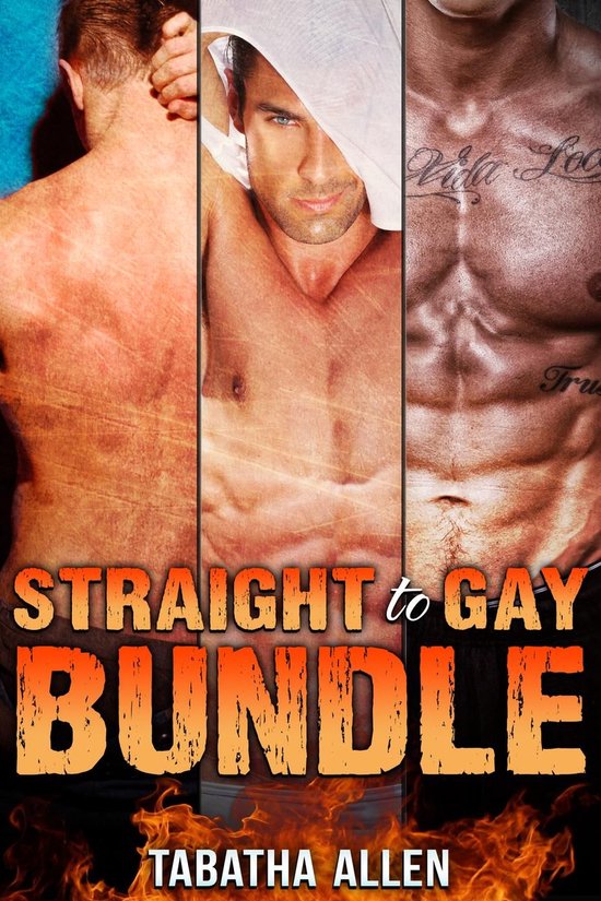 Straight To Gay Bundle Ebook Tabatha Allen 9781516369096 Boeken