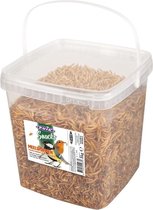 meelwormen 1KG PUIK
