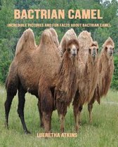 Bactrian Camel