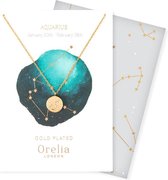 Orelia ketting kort met sterrenbeeld 'Waterman' goudkleurig met giftcard en envelop