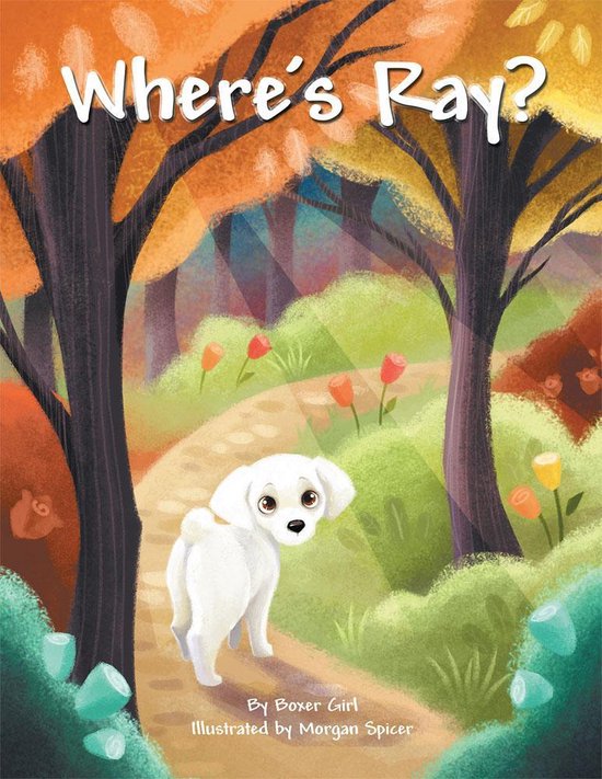Where's Ray? - cover