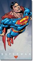 Retro Superman Wandbord 'Classic' - Metaal - 21 x 40 cm