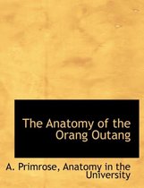 The Anatomy of the Orang Outang
