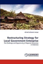 Restructuring Strategy for Local Government Enterprise