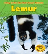 Lemur (A Day in the Life