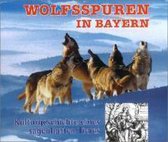 Wolfsspuren in Bayern
