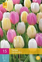 Jub Holland - bloembollen - Tulpen Sorbet Mix - maat 11/12 - 15 stuks