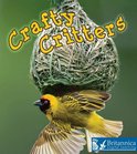 Weird and Wonderful Animals - Crafty Critters