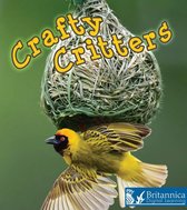 Weird and Wonderful Animals - Crafty Critters