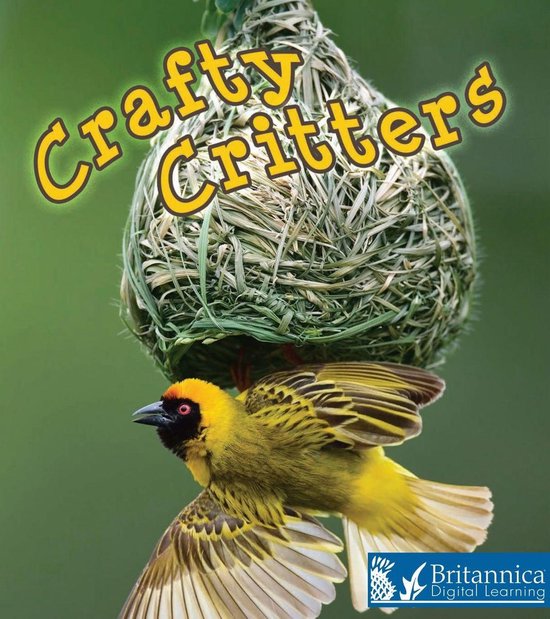 Weird and Wonderful Animals - Crafty Critters - cover