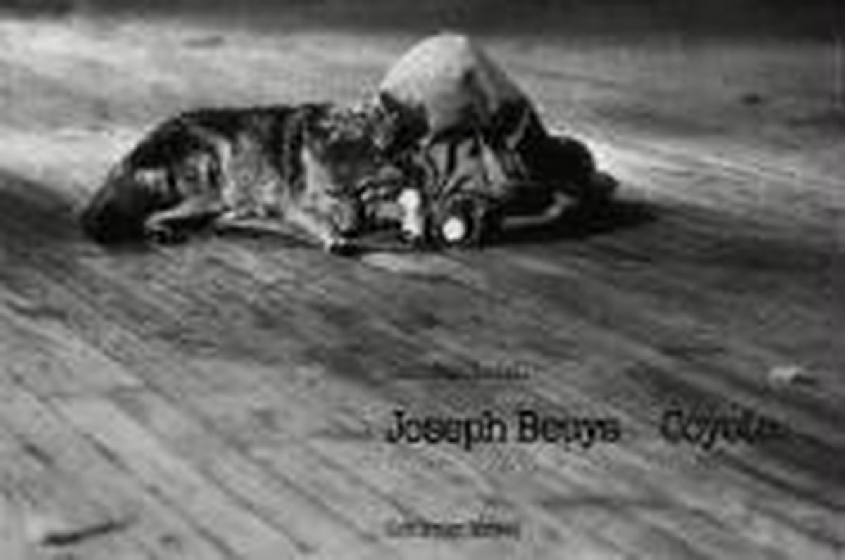 Joseph Beuys - Carolilne Tisdall