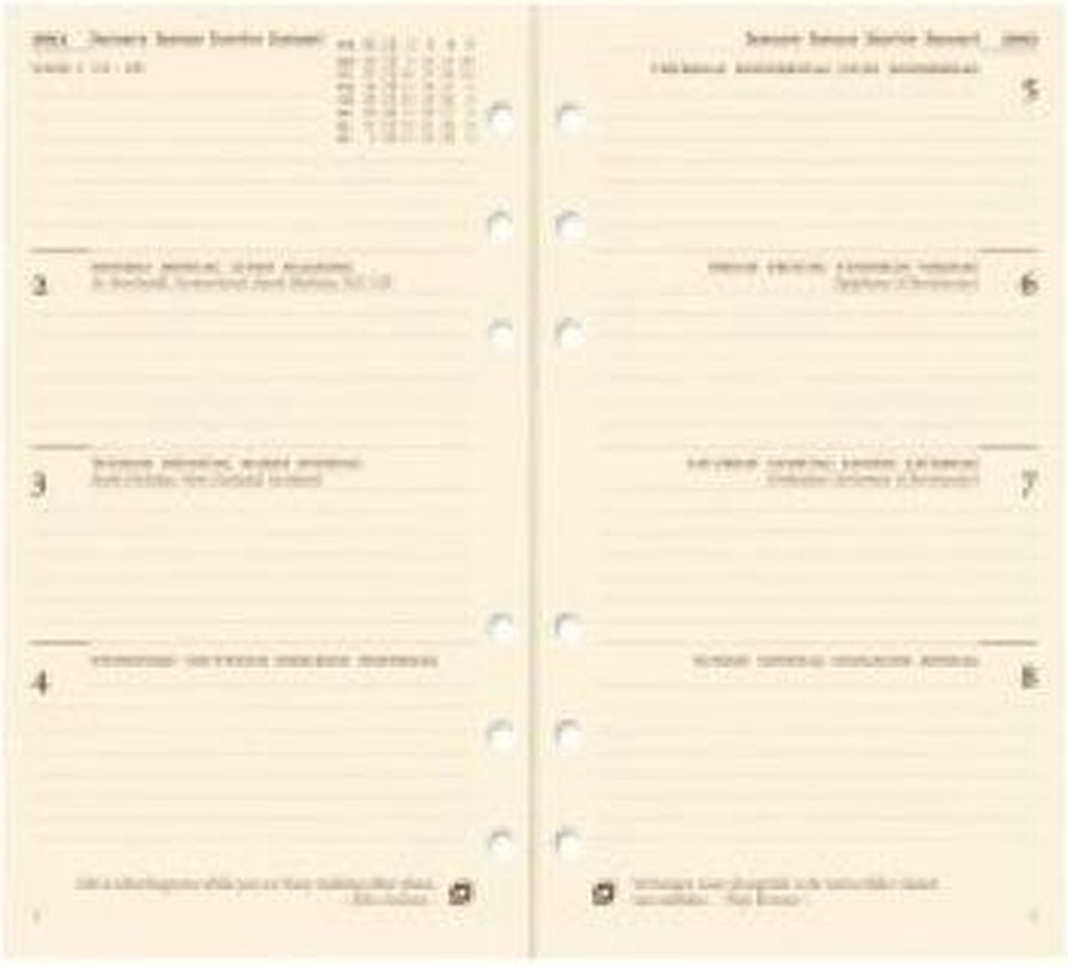 Succes Agendavulling 2026 - Standaard - Creme Papier GEEN BOX alleen AGENDAgedeelte (9.5cmx17cm)