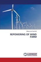 Repowering of Wind Farm