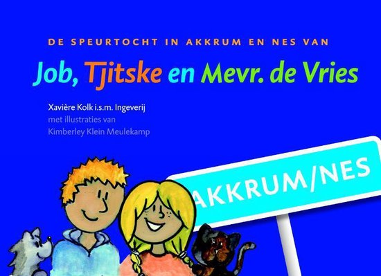 Cover van het boek 'De speurtocht in akkrum en nes'