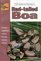 Red-tailed Boas and Other Boa Constrictors