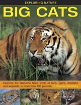 Exploring Nature Big Cats