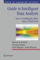 Foundations of Intelligent Data Analysis