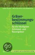 Gräserbestimmungsschlüssel für die häufigsten Grünland- und Rasengräser